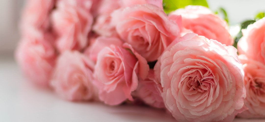 Jenis-Jenis Papan Bunga